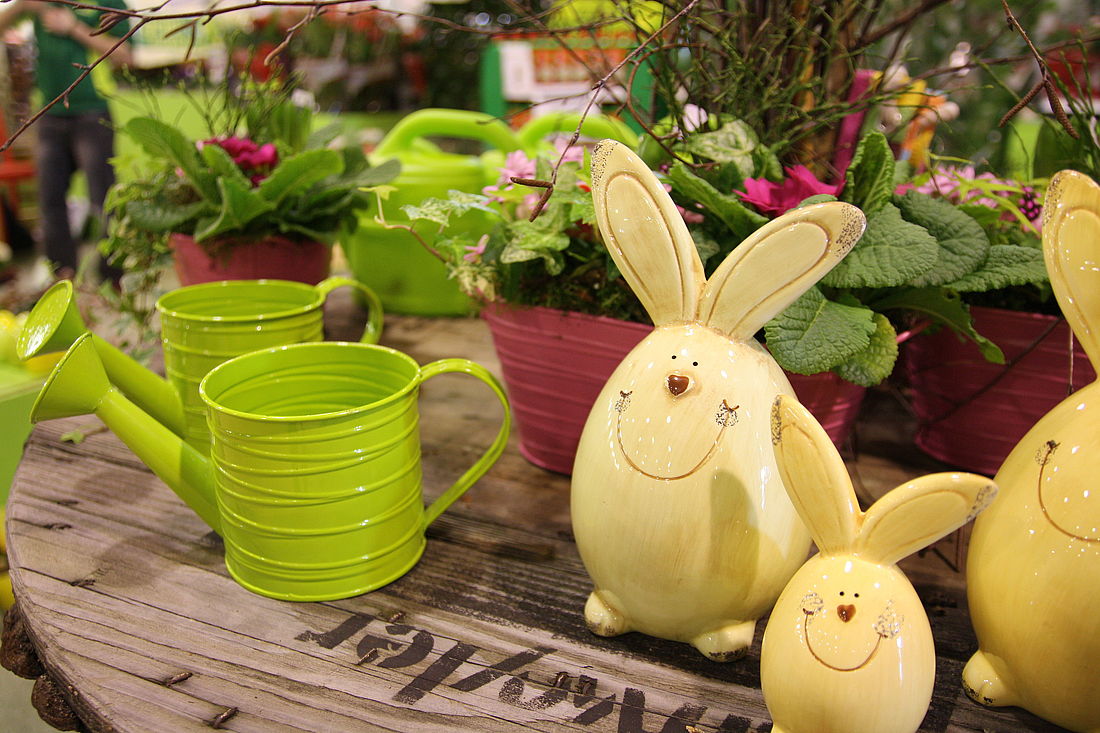 Messe Dresden „Dresdner Ostern“ + „Internationale Orchideenwelt